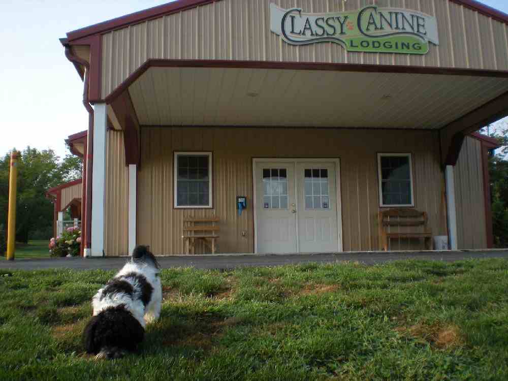 Classy Canine Lodging