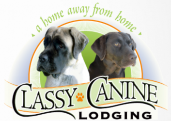 Classy Canine Lodging