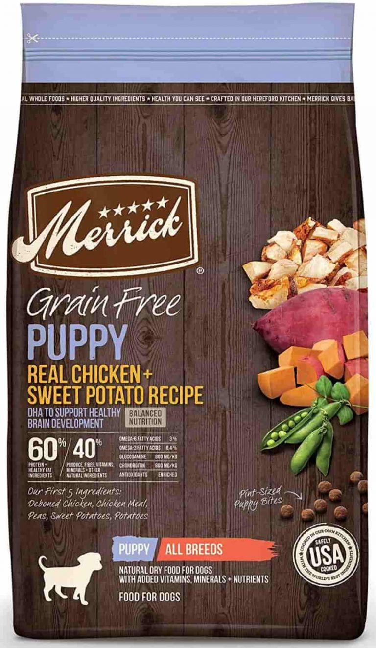 Dog food